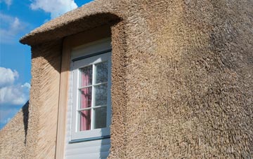 Trethellan Water thatch roof disadvantages